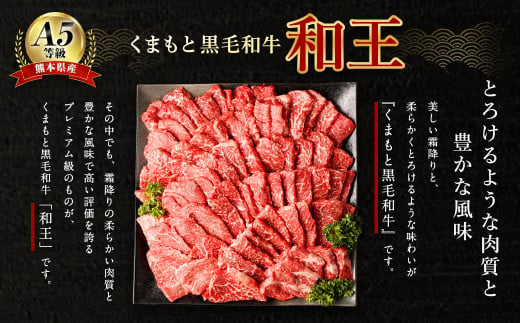 熊本県産 A5等級 和王 柔らか 赤身 焼肉 1.2kg (300g×4P) タレ2本付き