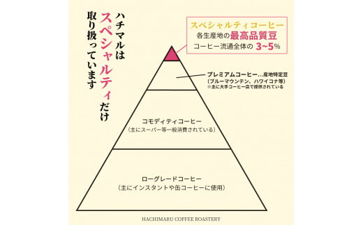 C188　【受注後焙煎/900g】スペシャルティコーヒー３種飲み比べ（300g×３種）