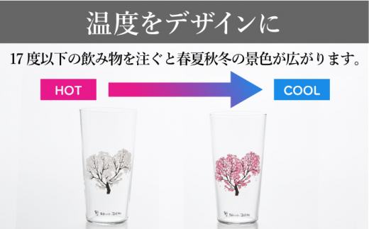 温度で変化する器 タンブラー 四季 セット 『冷感桜 ・ 花火 ・ 紅葉