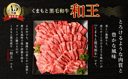 熊本県産 A5等級 和王 柔らか 赤身 焼肉 900g