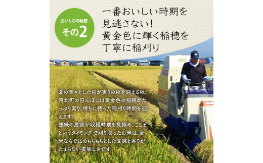 令和5年産米】※2024年1月下旬スタート※ 特別栽培米 つや姫30kg（10kg×3