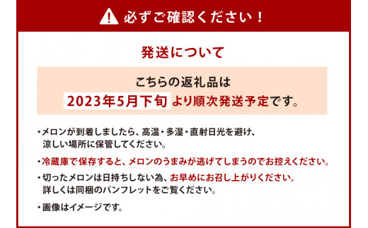 【先行予約】熊本県産 肥後グリーンメロン 約7kg 果物 フルーツ メロン