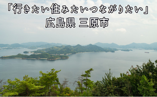 №5311-0387]瀬戸内サイダー（れもん味）200ml×12本 - 広島県三原市