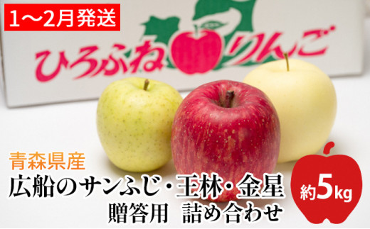 大枝冨有柿＜Lサイズ 15個＞【京都市農協 大枝支部】-