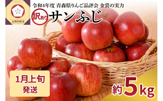 【2025年1月上旬発送】【訳あり】りんご 青森産 約5kg サンふじ 1069829 - 青森県五所川原市