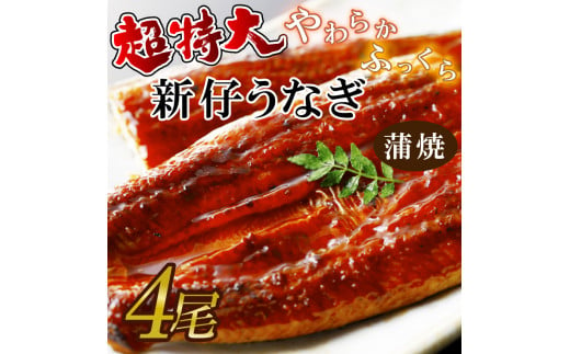 やわらか新仔うなぎ超特大蒲焼220～250ｇ　4尾　計880ｇ以上(AD-93-1) 373255 - 茨城県行方市