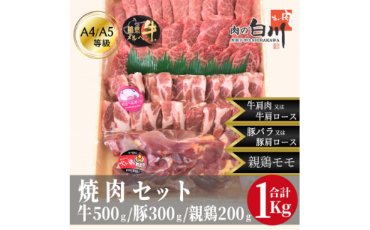 おやべのお肉焼肉セット1kg(和牛カルビ500g・豚300g・親鶏200g ...