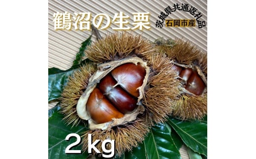 石岡鶴沼の 生栗　2キログラム（茨城県共通返礼品・石岡市産） 616703 - 茨城県鉾田市