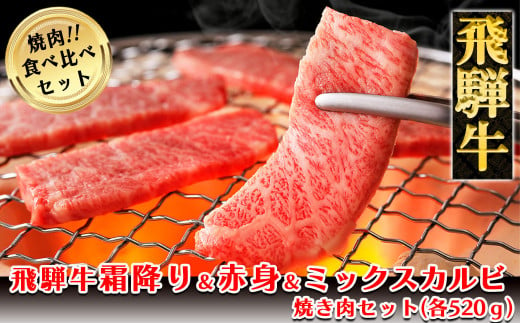 飛騨牛本日の霜降り・赤身・ミックスカルビ焼肉セット  各520g  【冷凍】ブランド牛 牛肉 国産 下呂温泉 牛 焼き肉 飛騨牛 217849 - 岐阜県下呂市