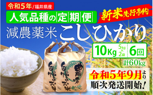 減農薬　有機栽培　新米コシヒカリ福井県産の令和５年産　玄米10kg　 管理番号2