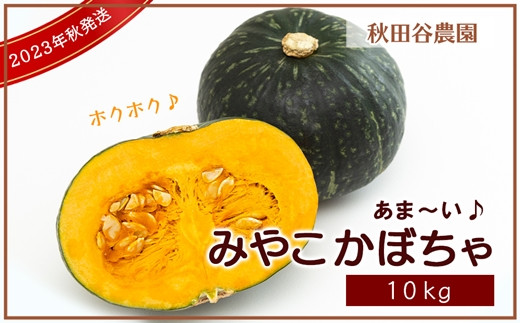 あま～い みやこかぼちゃ 10kg《秋田谷農園》【20003】