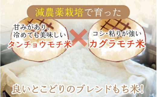 赤飯福井県産 新米餅米30kg 精米済み かぐらもち 減農薬 もち米30キロ