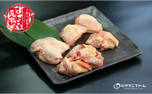 【大月町のブランド鶏】よさこい尾鶏 もも・むね肉セット 790637 - 高知県大月町