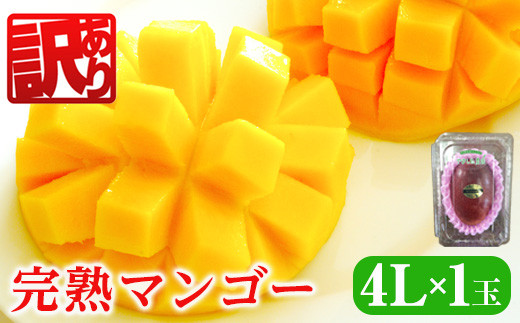 KU471 【先行予約・訳あり】宮崎完熟マンゴー(4L×1玉入・一般用)【やました農園】