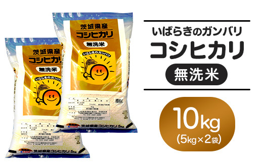 152 茨城県産無洗米コシヒカリ10kg(5kg×2袋) 313421 - 茨城県茨城町