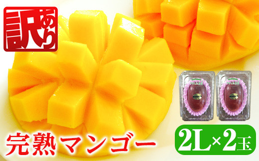 KU470 【先行予約・訳あり】宮崎完熟マンゴー(2L×2玉入・一般用)【やました農園】