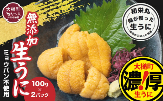 三陸産生うに100g×2パック【令和7年6月発送】【配送日指定不可】［35］ 352266 - 岩手県大槌町