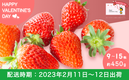 Vt23 06 バレンタイン限定 梶原フルーツの旬のいちご 福岡県うきは市 Au Pay ふるさと納税