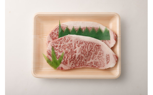 長崎和牛 サーロイン ステーキ 2枚 約500g