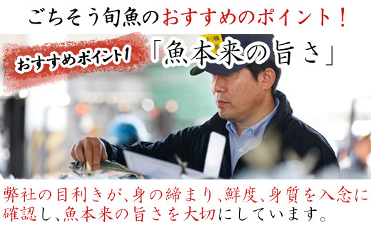 目利きが選んだごちそう旬魚 8種11枚7切 セット 干物 粕漬け しめ鯖