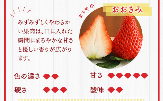 ひかりの苺(ルビー)４品種セット 1,200g やよいひめ おおきみ おいC
