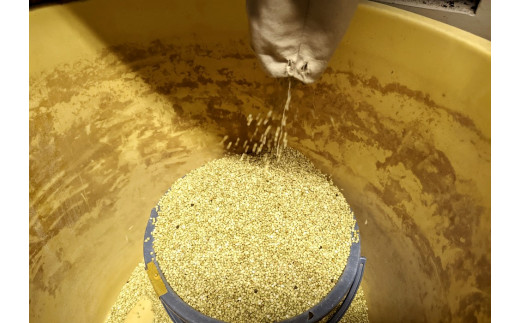 自社でそばの栽培・収穫をし、自社工場でそばの実からそば粉を生産しています。