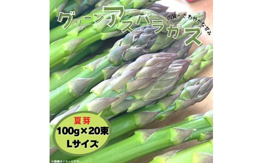 グリーンアスパラガス（夏芽）100g×20束／Lサイズ