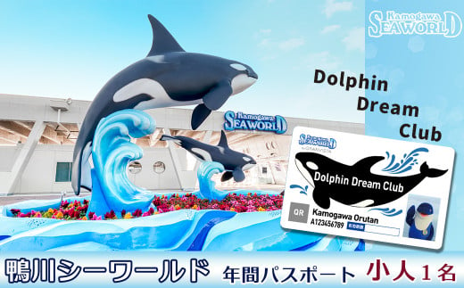 鴨川シーワールド年間パスポート「Dolphin Dream Club」小人（小学生・中学生）