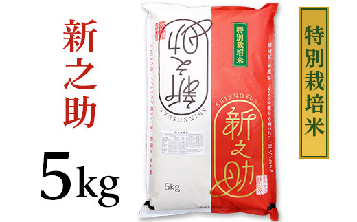 新潟県長岡産新之助5kg(特別栽培米)