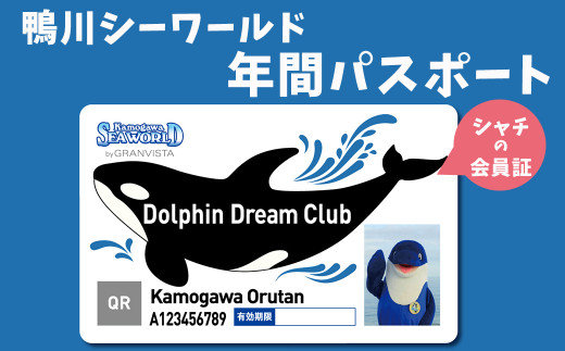 「Dolphin Dream Club」は入会特典がたくさん！