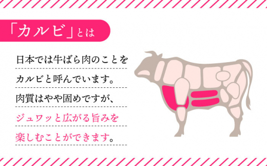 BBU010 【長崎和牛】 焼肉用カルビ 500g 【BBQに最適！】-7