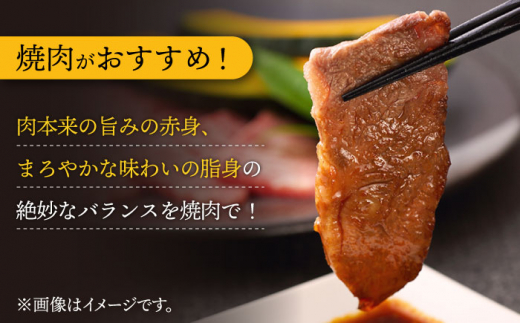 BBU010 【長崎和牛】 焼肉用カルビ 500g 【BBQに最適！】-8