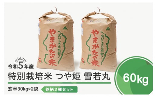 令和5年産 米 つや姫 雪若丸 各30kg 計60kg 大石田町産特別栽培米 玄米