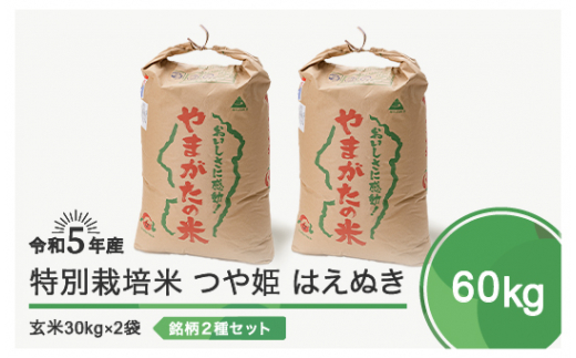 令和5年産 米 つや姫 はえぬき 各30kg 計60kg 大石田町産特別栽培米