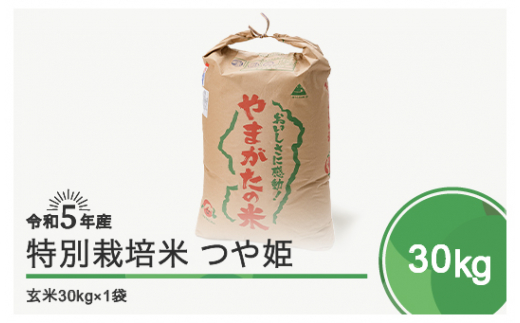 先行予約 令和5年産 米 つや姫 30㎏ 大石田町産 特別栽培米 玄米