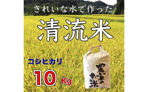 No.380 コシヒカリ　10kg ／ お米 こしひかり 群馬県 620291 - 群馬県安中市