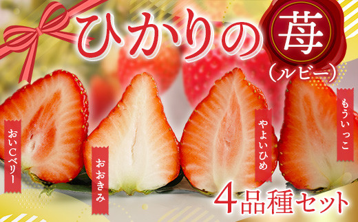 ひかりの苺(ルビー)４品種セット 1,200g　やよいひめ おおきみ おいCベリー もういっこ イチゴ