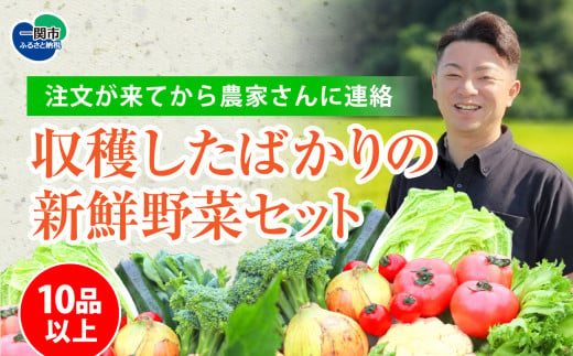 野菜バイヤーの梁川（やながわ）さんが新鮮な野菜を選んでお届けします！