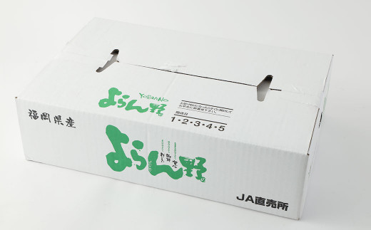 産直 野菜 詰め合わせ BOX 福岡県産 ( お野菜 と 米 の セット )