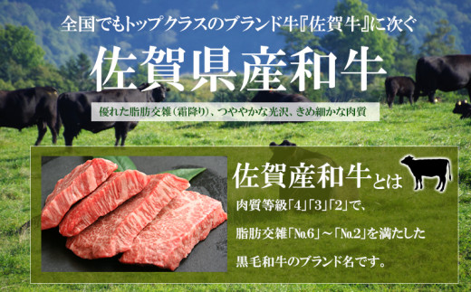 16_5-15 佐賀県産 和牛 ミンチ 400g×3p 計1.2kg|ブリーズレイ・プライベートテラス