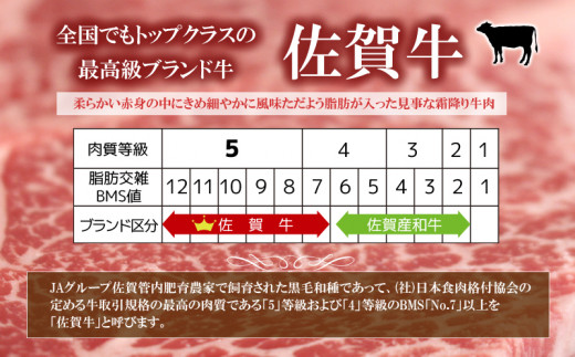 33_5-04 佐賀牛 肩ロース スキヤキ・シャブ用 300g×3p 計900g - 佐賀県