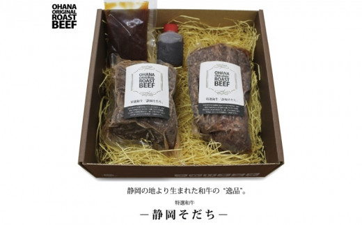 ５１７１　特選和牛「静岡そだち」で作ったローストビーフ500ｇ（約250g×２個）特製ソース×２種　ハナムラコーポレーション 889670 - 静岡県掛川市