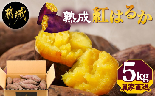 [農家直送]山下農園 熟成紅はるか 5kg_LD-I704_(都城市) 紅はるか 5kg 山下農園 さつまいも