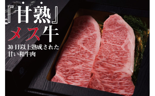 飛騨牛 サーロインステーキ 200g×3枚  牛肉 和牛 熟成肉『山勇牛』