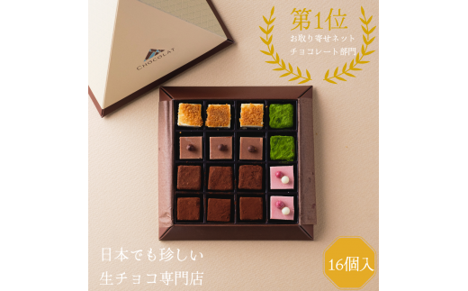 1092 生チョコレートアソートセット(16個入) 625329 - 鳥取県鳥取市