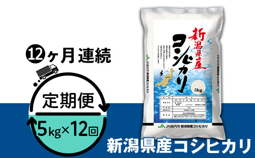 23-K5ZR4【12ヶ月連続お届け】新潟県中条産コシヒカリ5kg