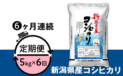 23-K56R4【6ヶ月連続お届け】新潟県中条産コシヒカリ5kg