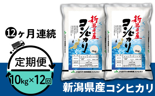 23-K10ZR4【12ヶ月連続お届け】新潟県中条産コシヒカリ10kg（5kg×2袋）