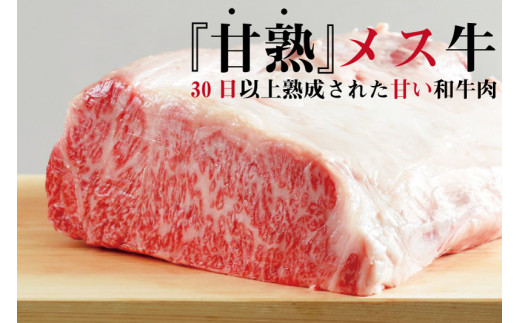 飛騨牛 サーロインブロック 600g 熟成肉『山勇牛』 牛肉 和牛