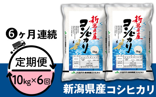 23-K106R4【6ヶ月連続お届け】新潟県中条産コシヒカリ10kg（5kg×2袋）